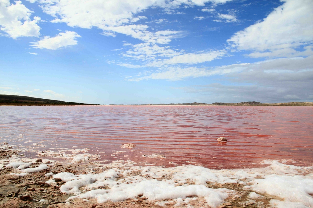 Озеро хиллер австралия. Озеро Хиллиер. Озеро Хиллер (остров Миддл). Розовое озеро Хиллер Австралия. Озеро Хиллер (средний остров).
